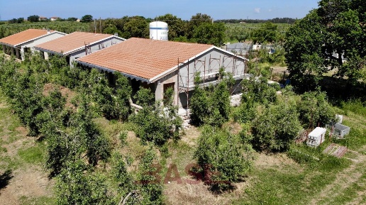 Foto Villa unifamiliare in Via Vicinale Bottico, Bibbona di 100 m²