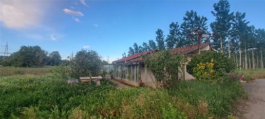 Foto Rustico a Bistagno di 50 m² con 3 locali in vendita