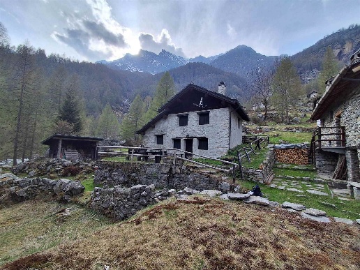 immagine annuncio 5 di 15