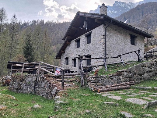 immagine annuncio 8 di 15
