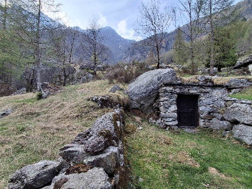 immagine annuncio 13 di 15