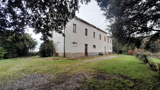 Foto Cessione attività a Pomarance Centro di 690 m² con 8 locali in vendita