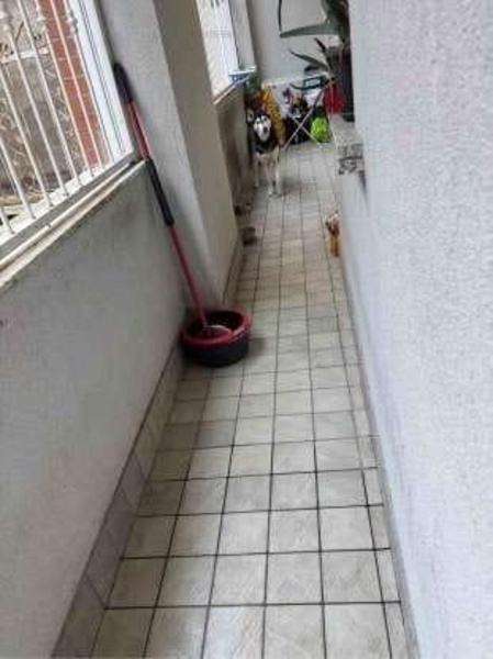 immagine annuncio 11 di 14