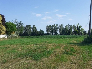 Foto Terreno agricolo in via livornese 783, Pisa La Vettola di 3250 m²