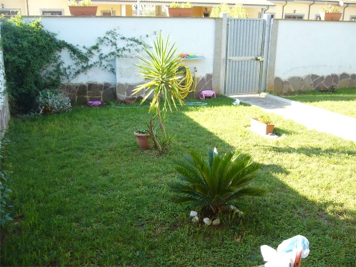 immagine annuncio 6 di 7