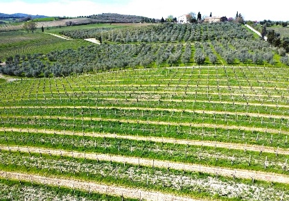 Foto Terreno agricolo a Castel del Piano Centro in vendita