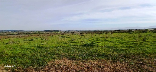 Foto Cessione attività a Serdiana con 1 locali in vendita