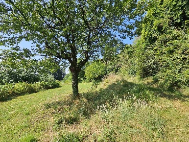 Foto Terreno agricolo a Castelli Calepio Centro di 25000 m² in vendita