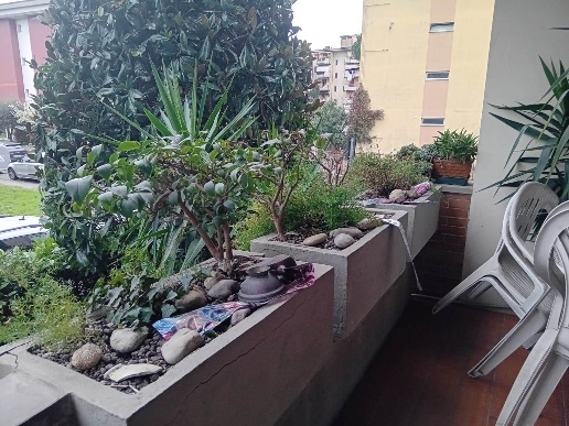 immagine annuncio 10 di 14