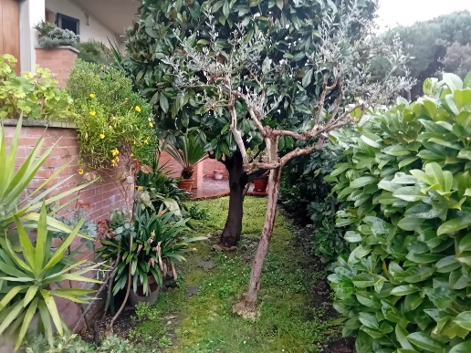 immagine annuncio 13 di 14
