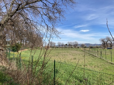 Foto Terreno edificabile in Cantina Roxan, Rosciano in vendita