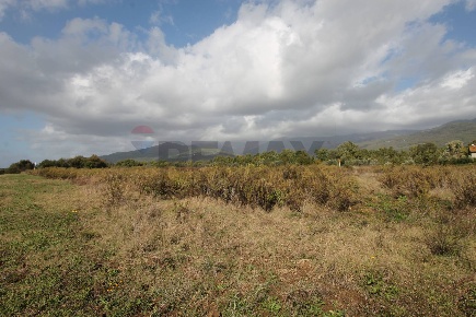 Foto Terreno agricolo in Strada Provinciale Valdarno Casentinese,