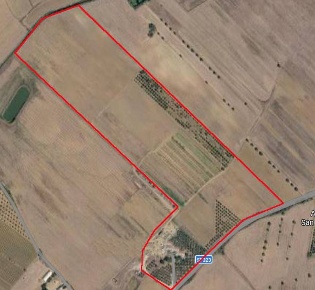 Foto Cessione attività in St Provinciale 323, Orbetello di 550 m²