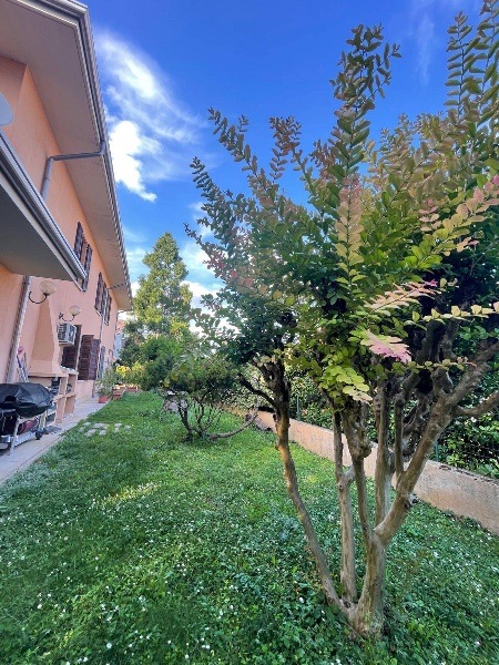 immagine annuncio 10 di 13