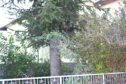 Foto Casa indipendente in VIA PADOVA 224 224, Cartura Centro di 140 m²
