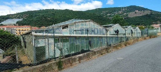 Foto Terreno agricolo in Argine Sinistro, Taggia Centro di 950 m²