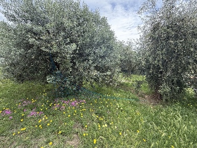 Foto Appartamento in Via per Rosignano, Rosignano Marittimo di 112 m²
