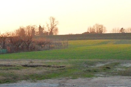 Foto Terreno agricolo a Ravenna Ammonite di 47900 m² in vendita