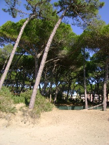 Foto Appartamento in Via Lago di Misurina 6, Follonica di 45 m² in vendita