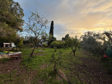 Foto Terreno agricolo in Via delle Begonie snc, Quartucciu di 2000 m²