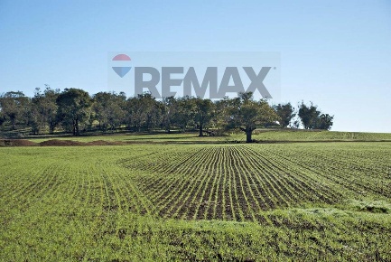 Foto Terreno residenziale in Via Xiboli 404, Caltanissetta Centro