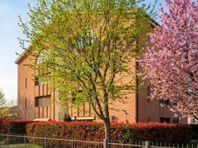 Foto Appartamento in VIA FERMI 30, Certosa di Pavia Boschetto di 41 m²