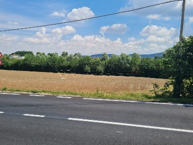 Foto Terreno agricolo in Via Cà Bassa, Albettone Lovolo di 6685 m²