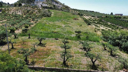 Foto Terreno agricolo a Ribera di 10210 m² in vendita
