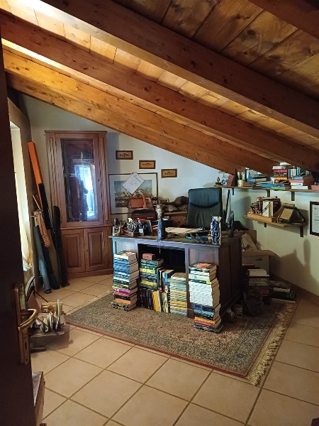 immagine annuncio 14 di 15