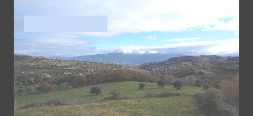 Foto Agriturismo in Cozzo Ulivo, San Benedetto Ullano Centro di 39280 m²
