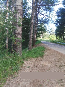 Foto Agriturismo a Spezzano della Sila di 64560 m² con 1 locali in vendita