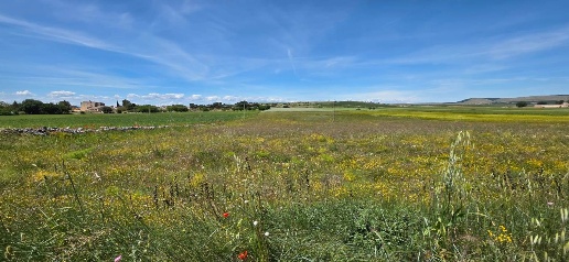 Foto Terreno agricolo a Altamura di 14871 m² in vendita