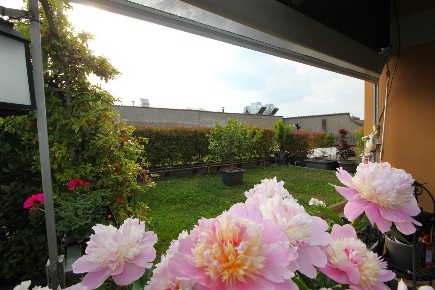 Foto Duplex in Via per san giorgio 8, Legnano Parco Castello di 154 m²