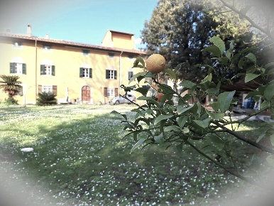 Foto Casa indipendente a Cascina San Frediano Nord - San Casciano di 390 m²
