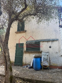 Foto Casa indipendente a Camaiore Camaiore Paese di 50 m² con 3 locali