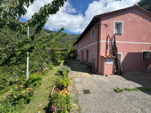 casa indipendente in vendita a Calci