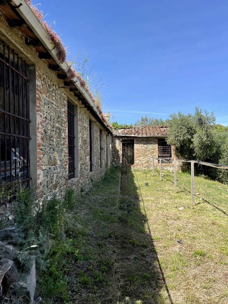immagine annuncio 8 di 13