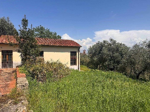 immagine annuncio 9 di 13