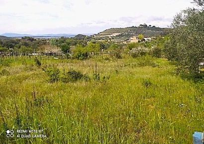 Foto Terreno agricolo a Monte Argentario Porto Ercole di 1300 m² in vendita
