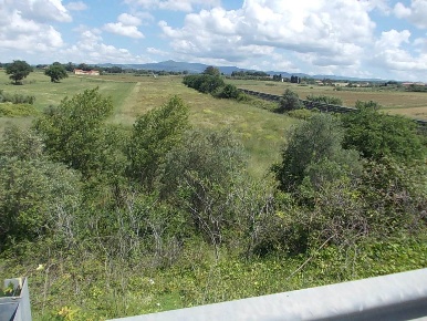 Foto Terreno agricolo a Cecina Cecina Centro di 20000 m² in vendita