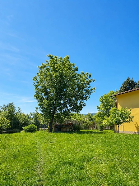 immagine annuncio 3 di 4
