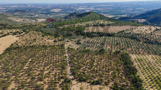 Foto Rustico in CONTRADA GRATTALURI, Noto di 450 m² con 13 locali