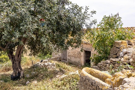 Foto Cessione attività in donnafugata snc, Ragusa di 147 m² con 10 locali