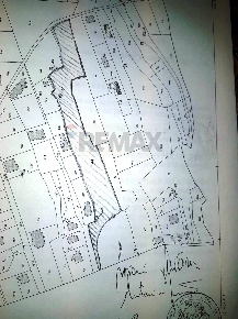 Foto Terreno agricolo in Via M. Giusti 10, Pedara Centro di 3571 m²