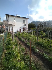 Foto Casa indipendente a Luni Casano Dogana Isola di 90 m² con 4 locali