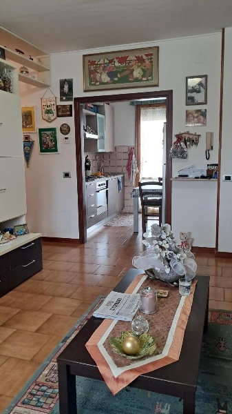 immagine annuncio 7 di 8