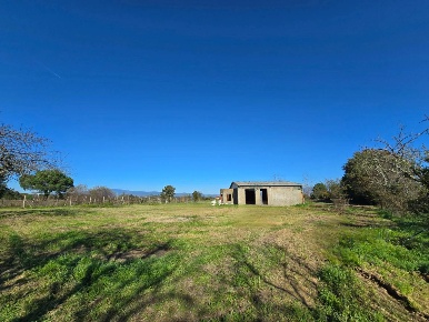 Foto Terreno residenziale in agazzi, Arezzo Agazzi di 14000 m² in vendita