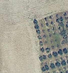 Foto Terreno agricolo in Via dei Tre Mulini, Collesalvetti di 10878 m²