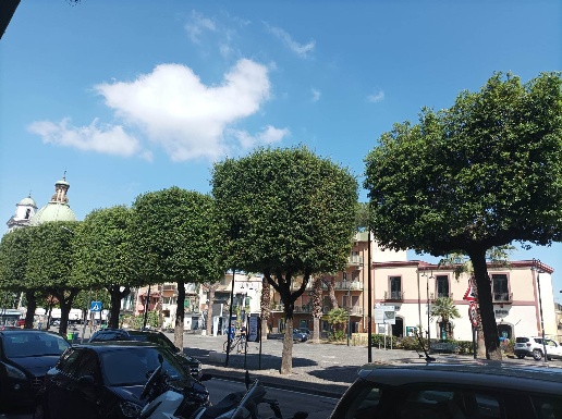 immagine annuncio 5 di 6