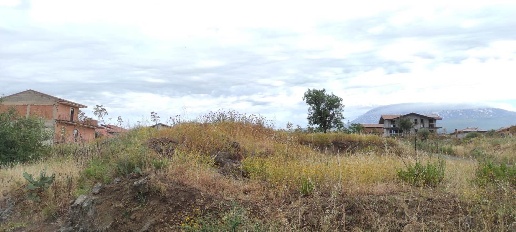 Foto Terreno edificabile in Via Pietro Tomasello, Santa Maria di Licodia